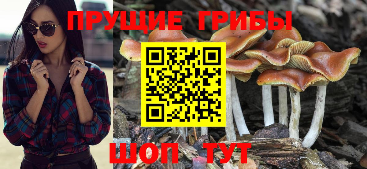 Псилоцибиновые грибы ЛСД  Вход с VPN  наркошоп  Воронеж  Галлюциногенные грибы Psilocybine cubensis 